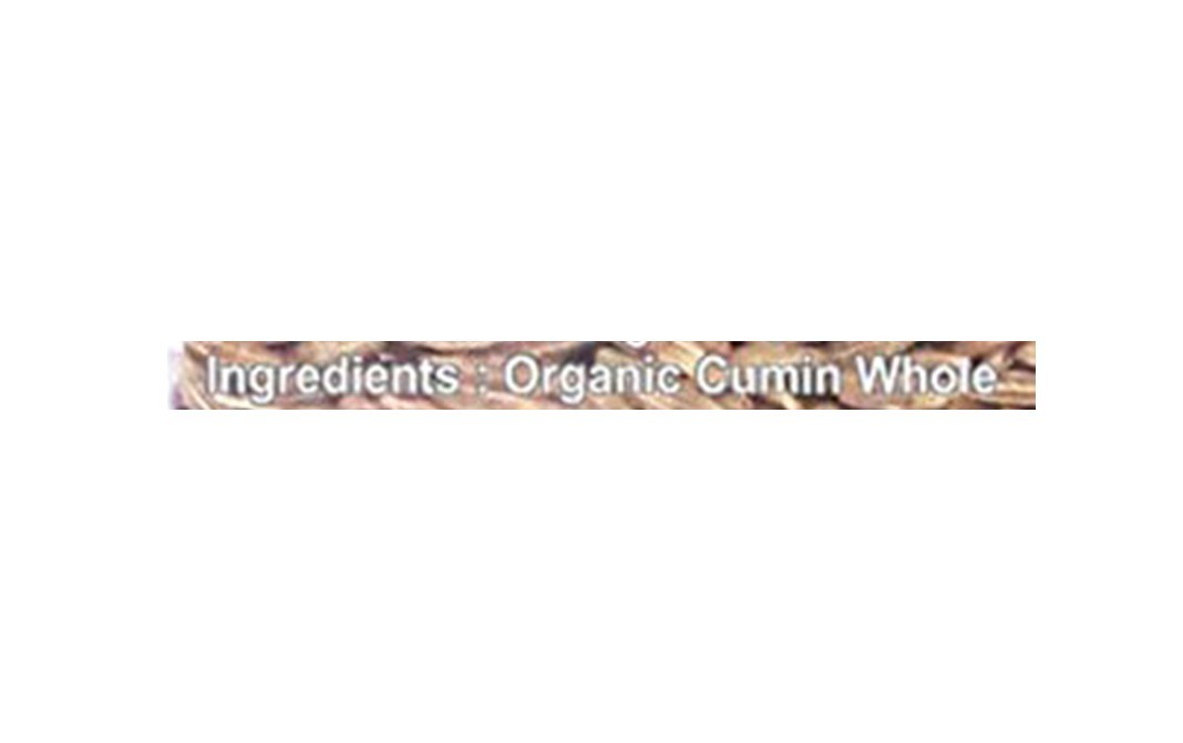 Bytewise Organic Cumin    Jar  100 grams